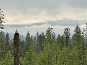 4684 GROUSE CREEK RD LOT A, CHEWELAH, WA 99109, photo 1 of 9