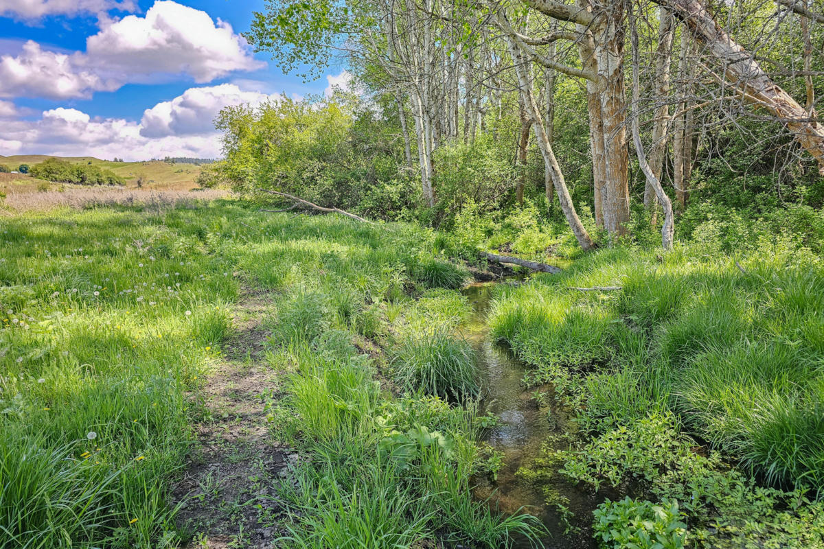 NNA HUDSPETH RD, FRUITLAND, WA 99129, photo 1 of 45